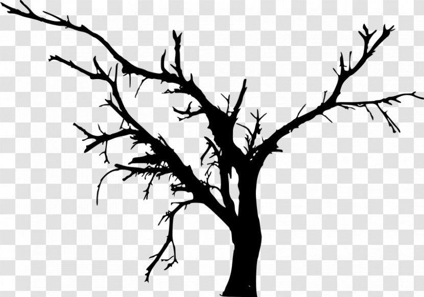 Branch Tree - Monochrome Photography Transparent PNG