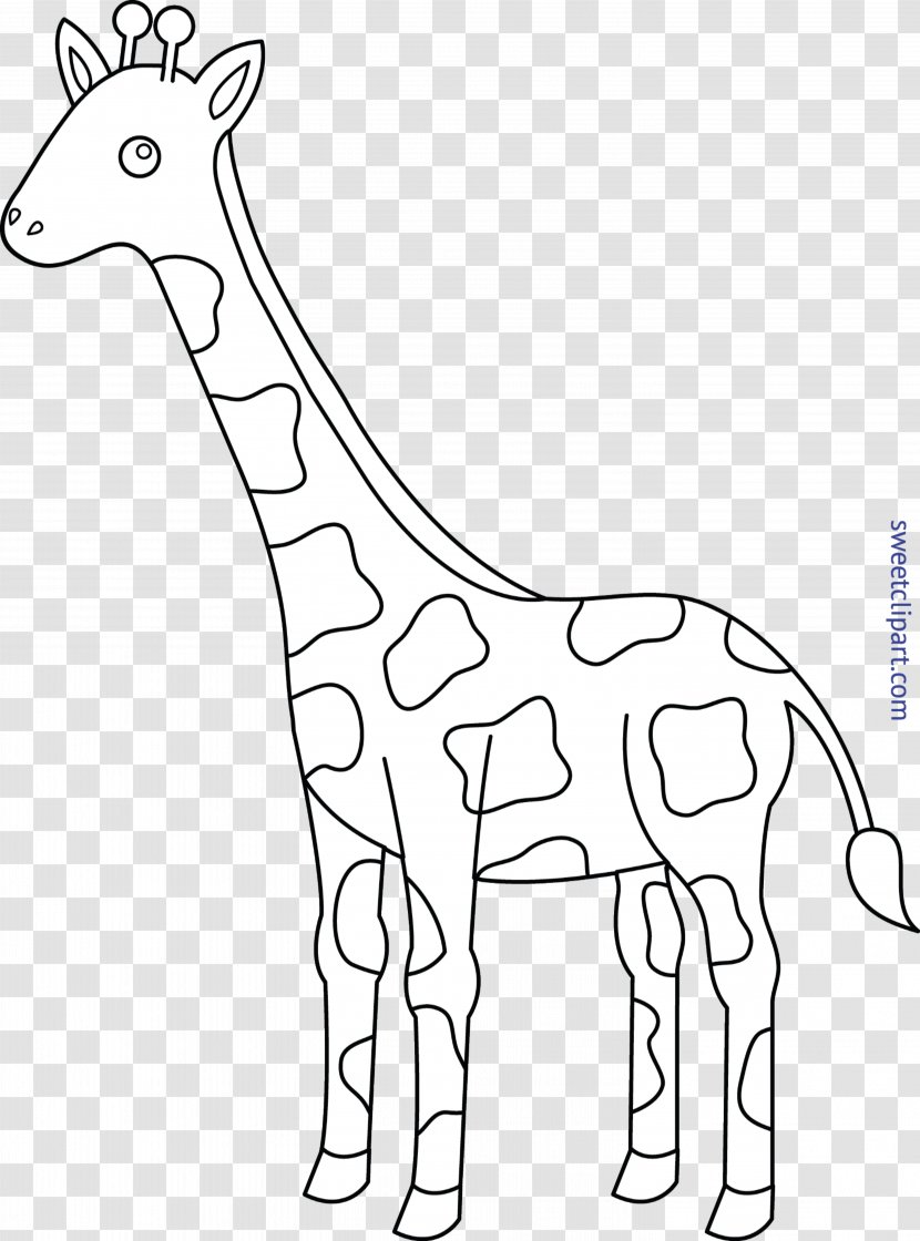 Coloring Book Child Cuteness Adult Reticulated Giraffe Transparent PNG