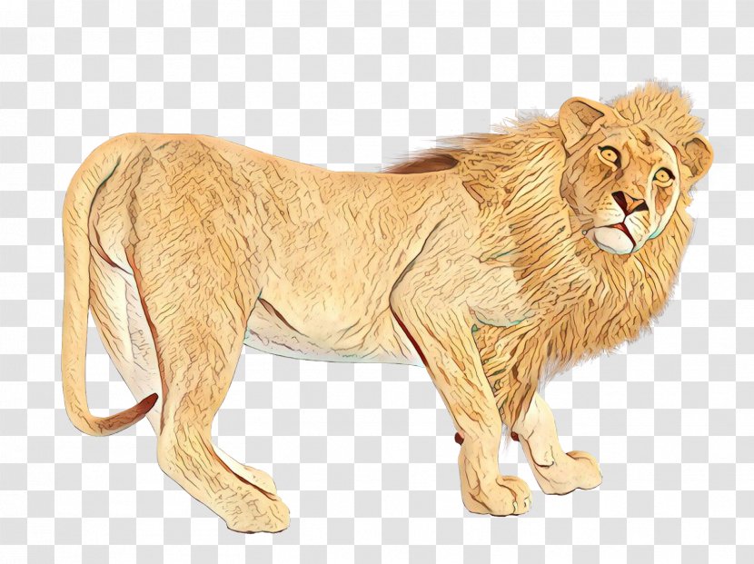 Lion Big Cat Terrestrial Animal - Wildlife - Masai Transparent PNG