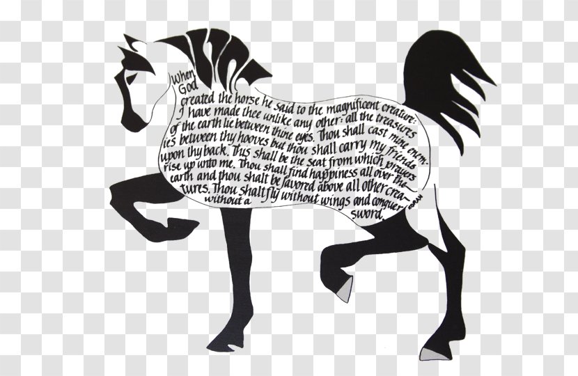 Arabian Horse Mustang Mare Equestrian Stallion - Monochrome - Archery Training Quotes Transparent PNG