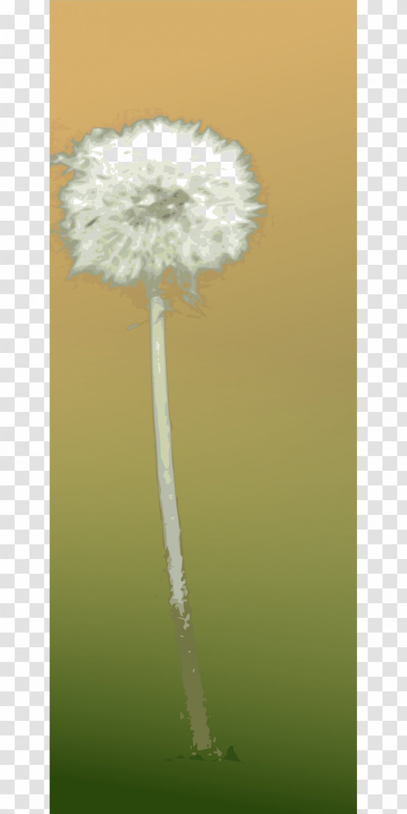 Common Dandelion Clip Art - Stock Photography Transparent PNG