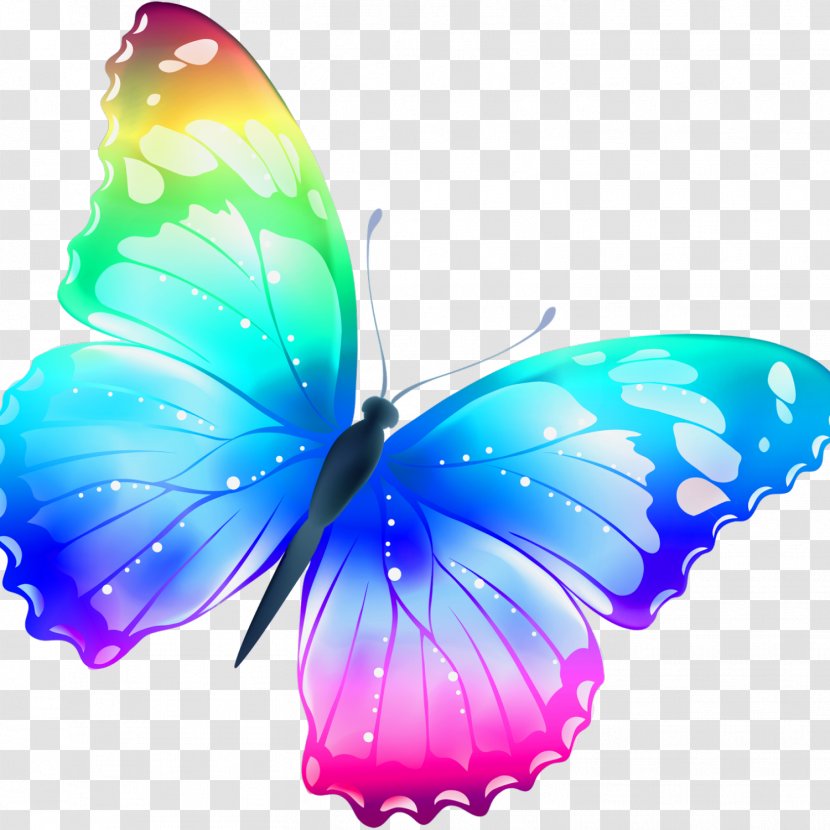 Butterfly Color Clip Art - Blue - Buterfly Transparent PNG