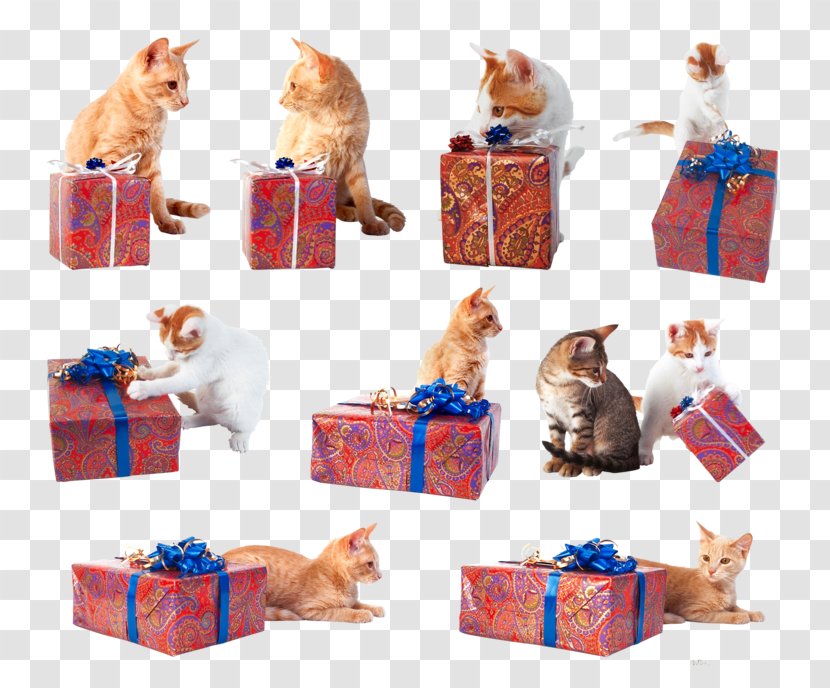 Cat Gift Clip Art Transparent PNG