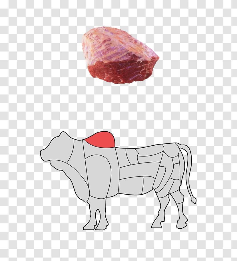 Dog Pig Cattle Mammal Snout Transparent PNG