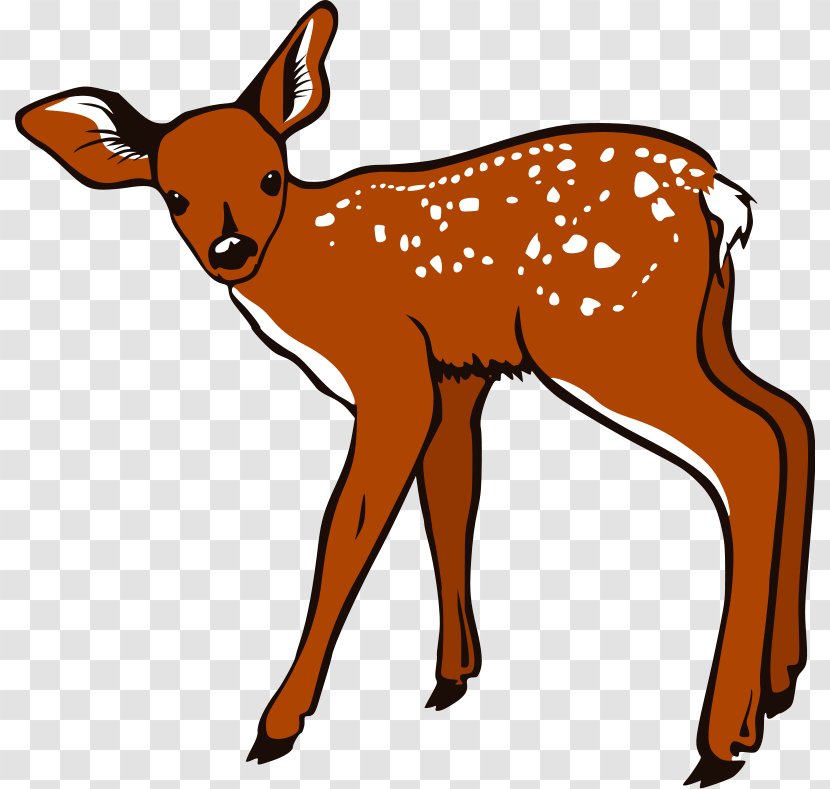 White-tailed Deer Clip Art - Antelope - Cartoon Moose Clipart Transparent PNG