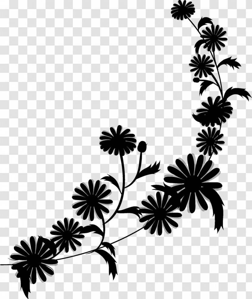 Twig Background - Daisy Family - Parsley Herbaceous Plant Transparent PNG