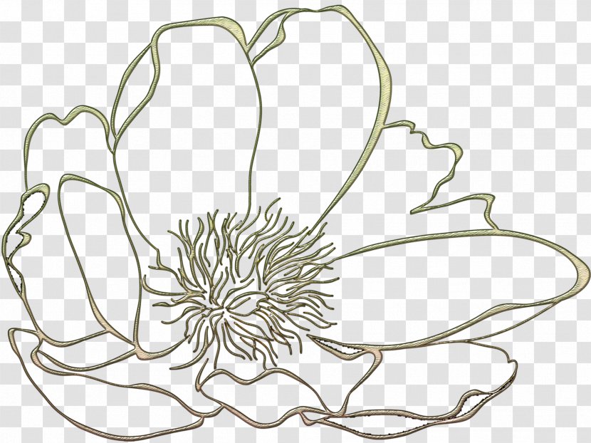 Cut Flowers Floral Design Plant Stem Petal - Organism - Gerbera Transparent PNG