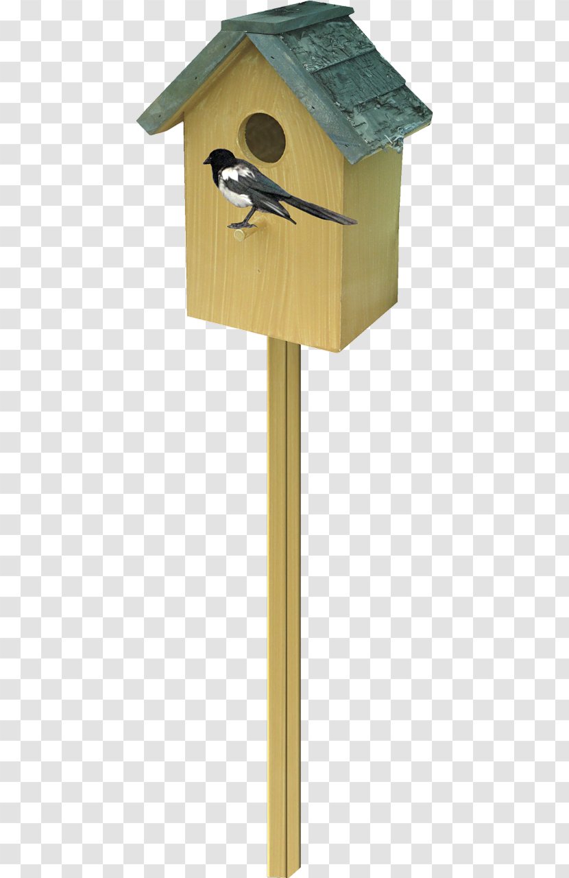 Eurasian Magpie Bird Houses Passerine - Mail - New House Transparent PNG