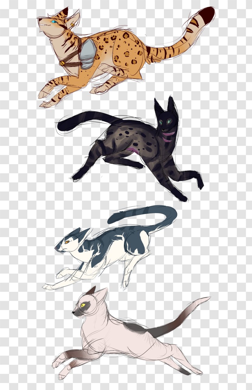 Cat Velociraptor Horse Claw Mammal - Newcomers Transparent PNG
