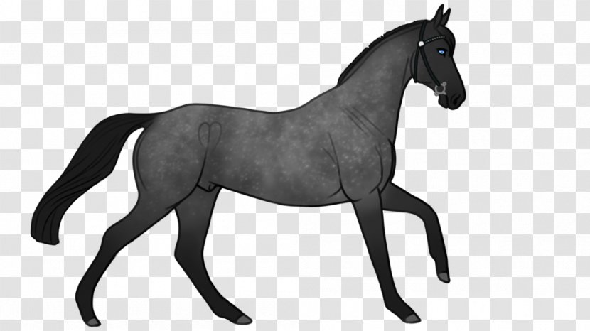 Mustang Foal Pony Rein Stallion - Mammal - Mud Horse Transparent PNG