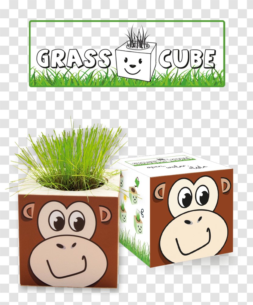 Cube Plant Mammal IdeeCadeau.fr Animal Transparent PNG