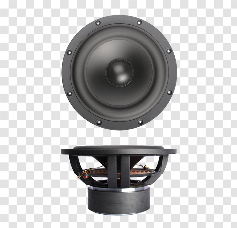 Subwoofer Loudspeaker Acoustics Ohm - Speaker - Audio Transparent PNG