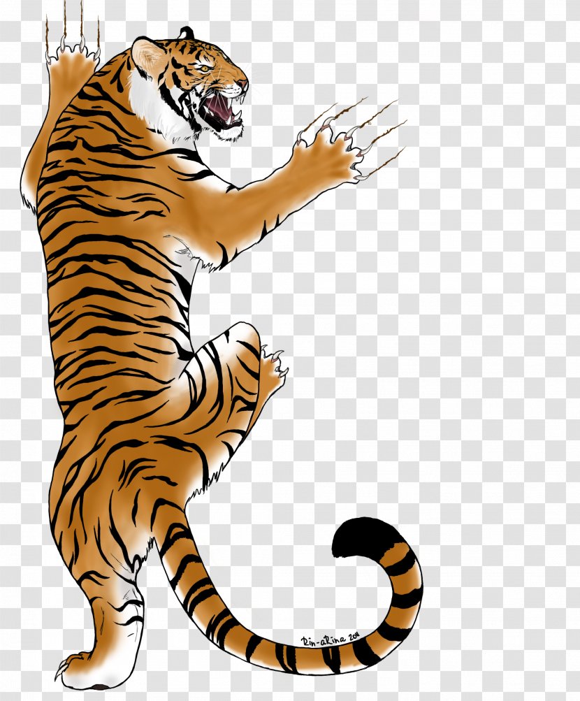 Tiger Big Cat Whiskers Wildlife - Like Mammal Transparent PNG