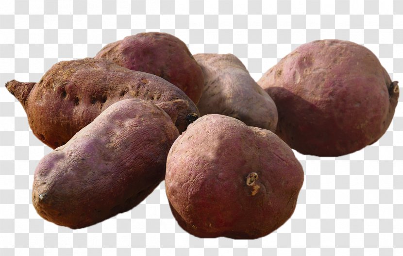 Sweet Potato Mashed Food Health - Ingredient - Purple Transparent PNG
