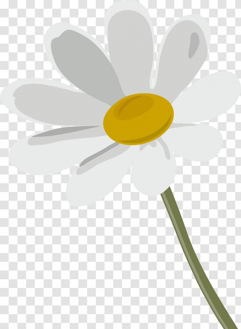 Oxeye Daisy German Chamomile Flower Clip Art - Flora - Camomile Transparent PNG