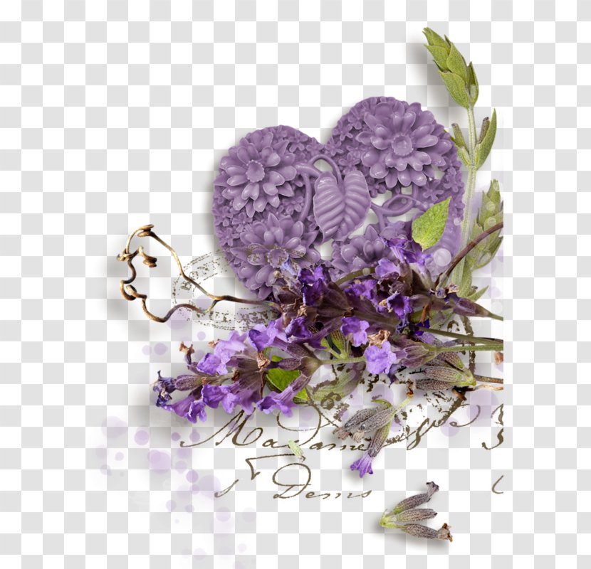 Lavender Botany Provence - Violet Transparent PNG