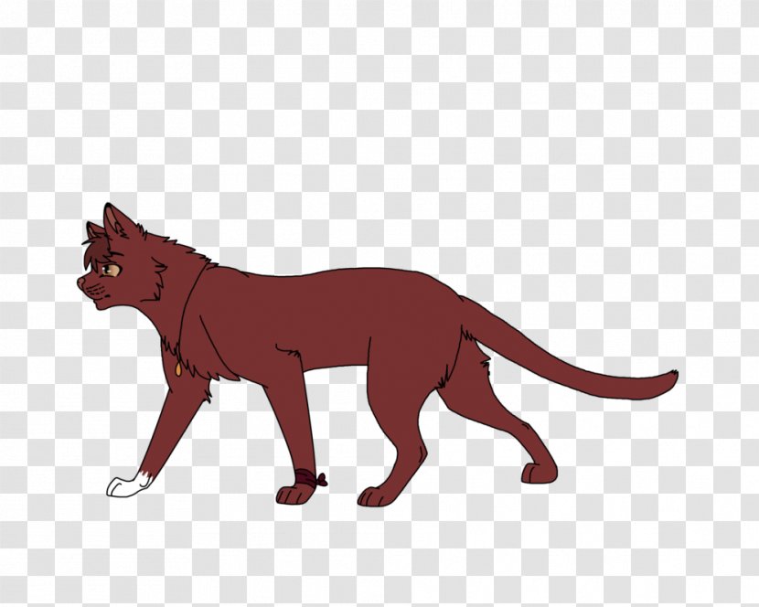 Whiskers Cat Lion Red Fox Mammal - Dog Transparent PNG