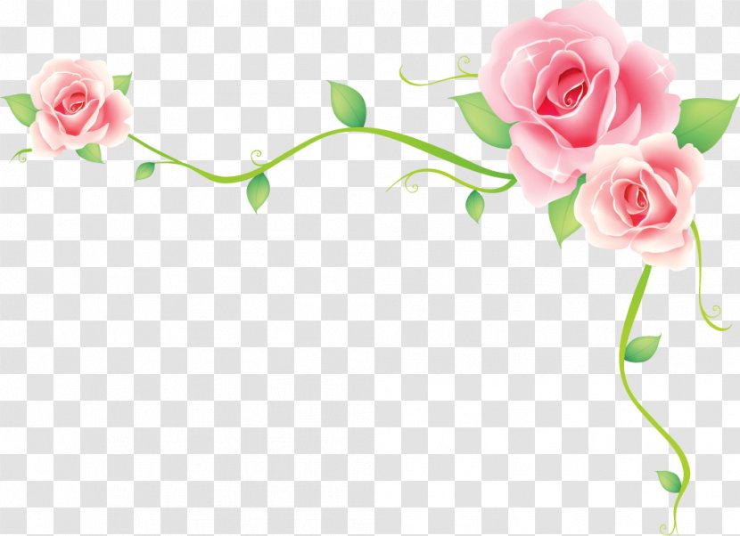 Borders And Frames Flower - Rosa Centifolia Transparent PNG