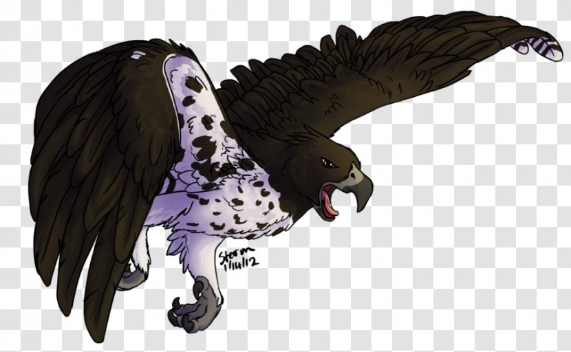 Eagle Owl Hawk Wildlife Beak - Bird Transparent PNG