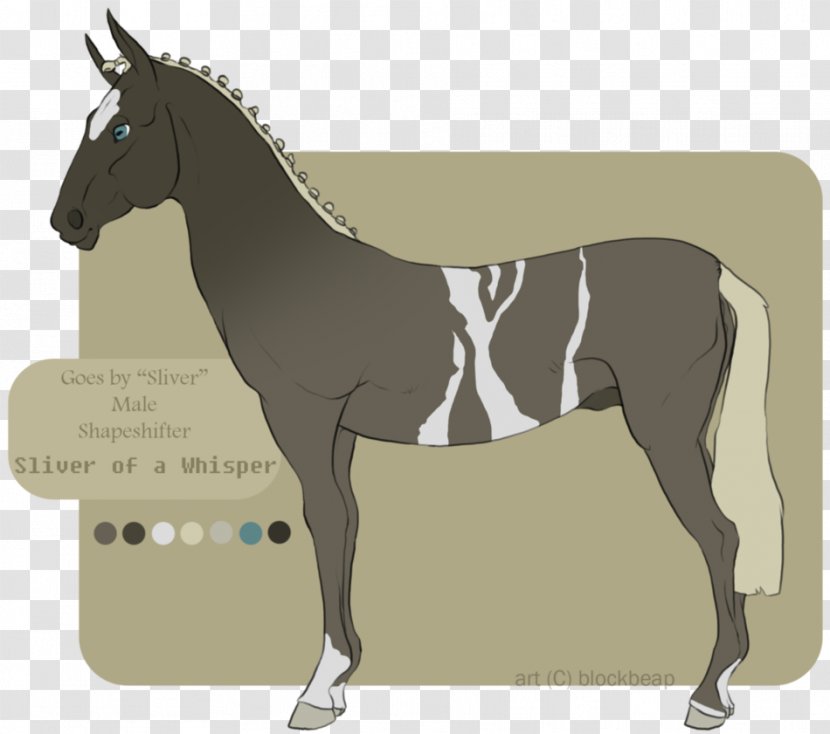 Mule Foal Stallion Halter Mare - Pony - Mustang Transparent PNG