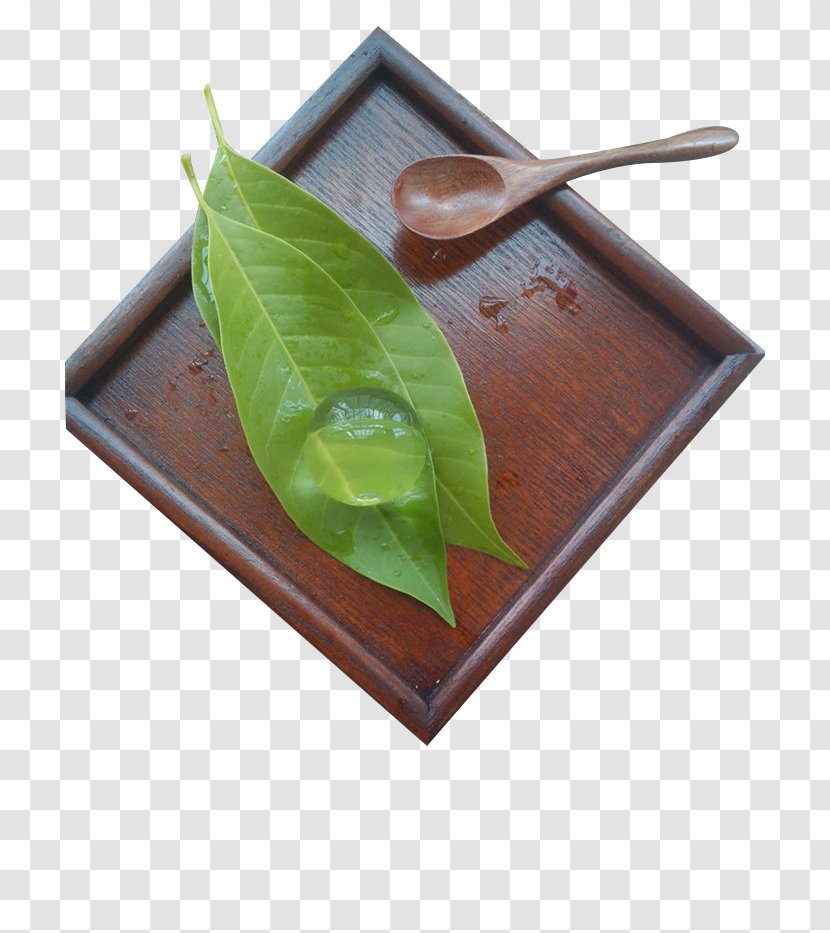 Mochi Nian Gao Raindrop Cake - Shiratamako - Green Leaves Transparent Water Shingen Transparent PNG