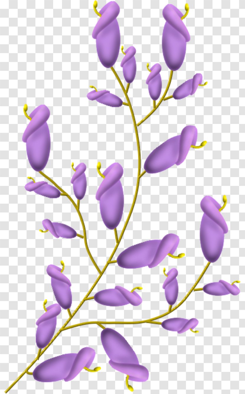 Flower Clip Art - Mauve - Purple Transparent PNG