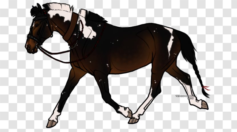 Animal Cartoon - Equestrian - Working Livestock Transparent PNG