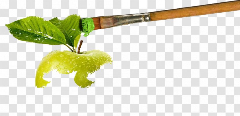 Apple Juice Paper Vegetarian Cuisine Business Cards - Food - Paint Pen Leafy Green Transparent PNG