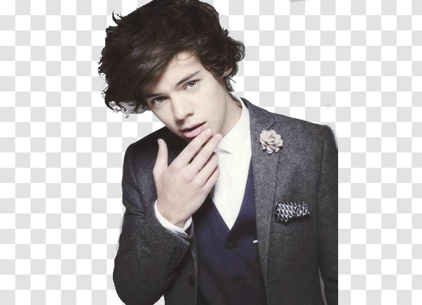 Harry Styles The X Factor February 1 One Direction - Silhouette Transparent PNG
