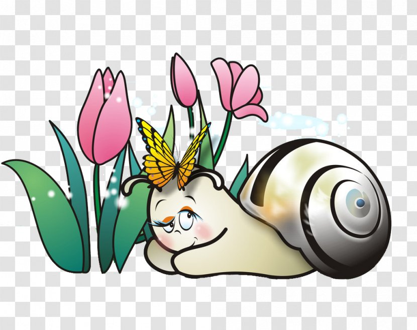 Orthogastropoda Euclidean Vector - Rabits And Hares - Cartoon Snail Tummy Transparent PNG
