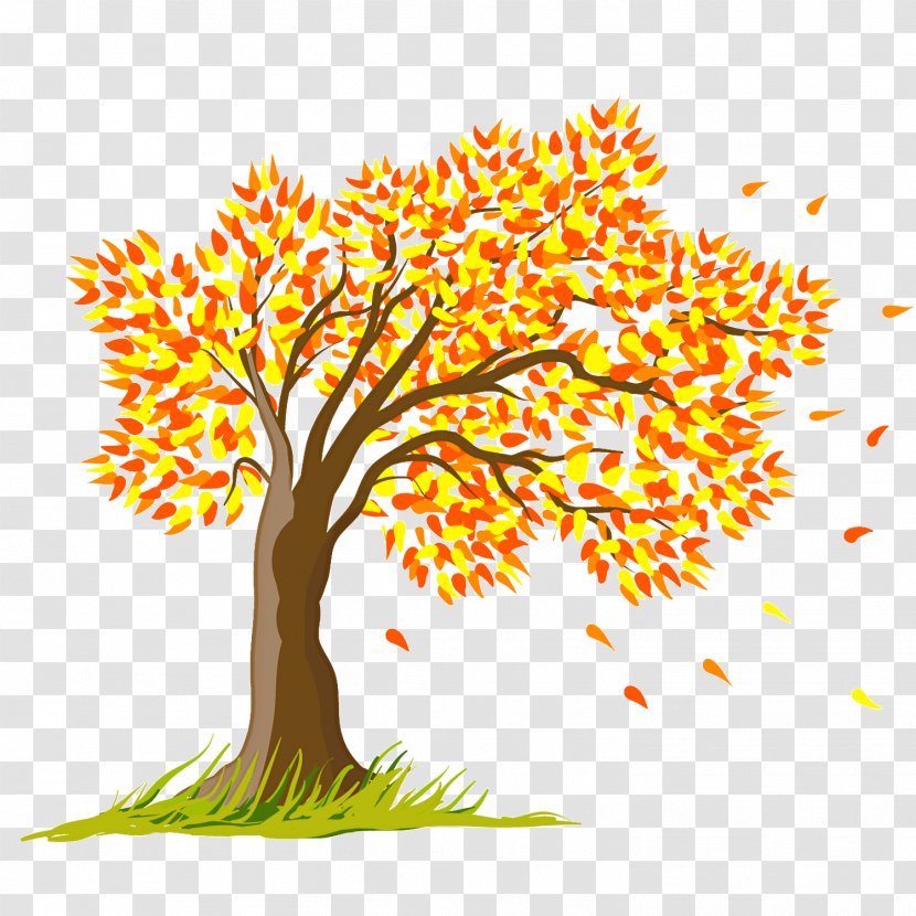 Tree Woody Plant Yellow Leaf - Stem Autumn Transparent PNG