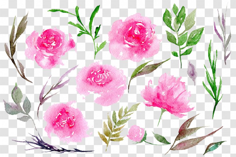 Peony Pink Watercolor Painting Clip Art - Flowers - Peonies Clipart Transparent PNG