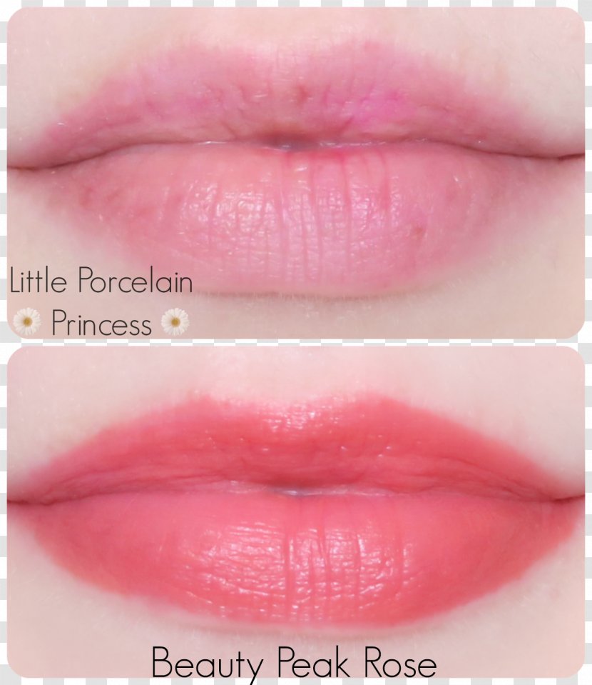 Tints And Shades Lip Gloss Of Red - Lipstick - Rose Transparent PNG