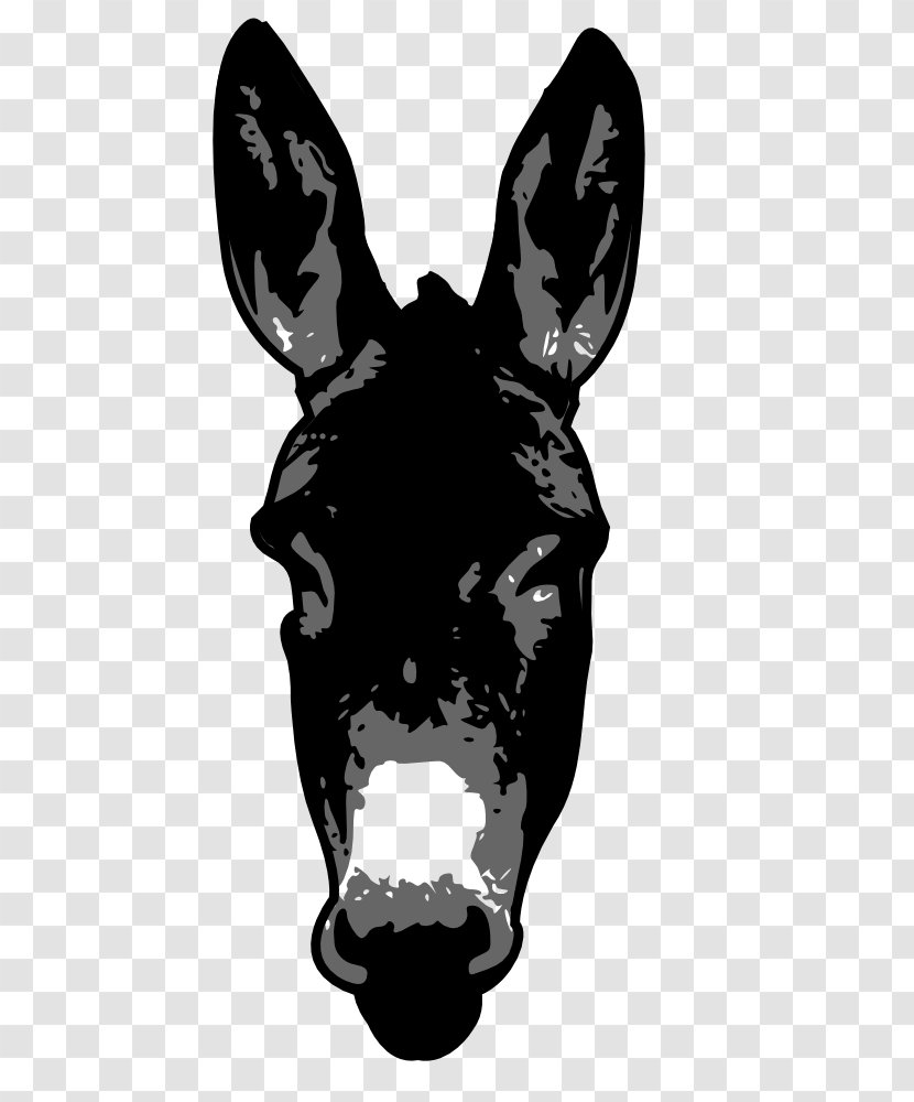 Donkey Mule Zazzle - Poster Transparent PNG
