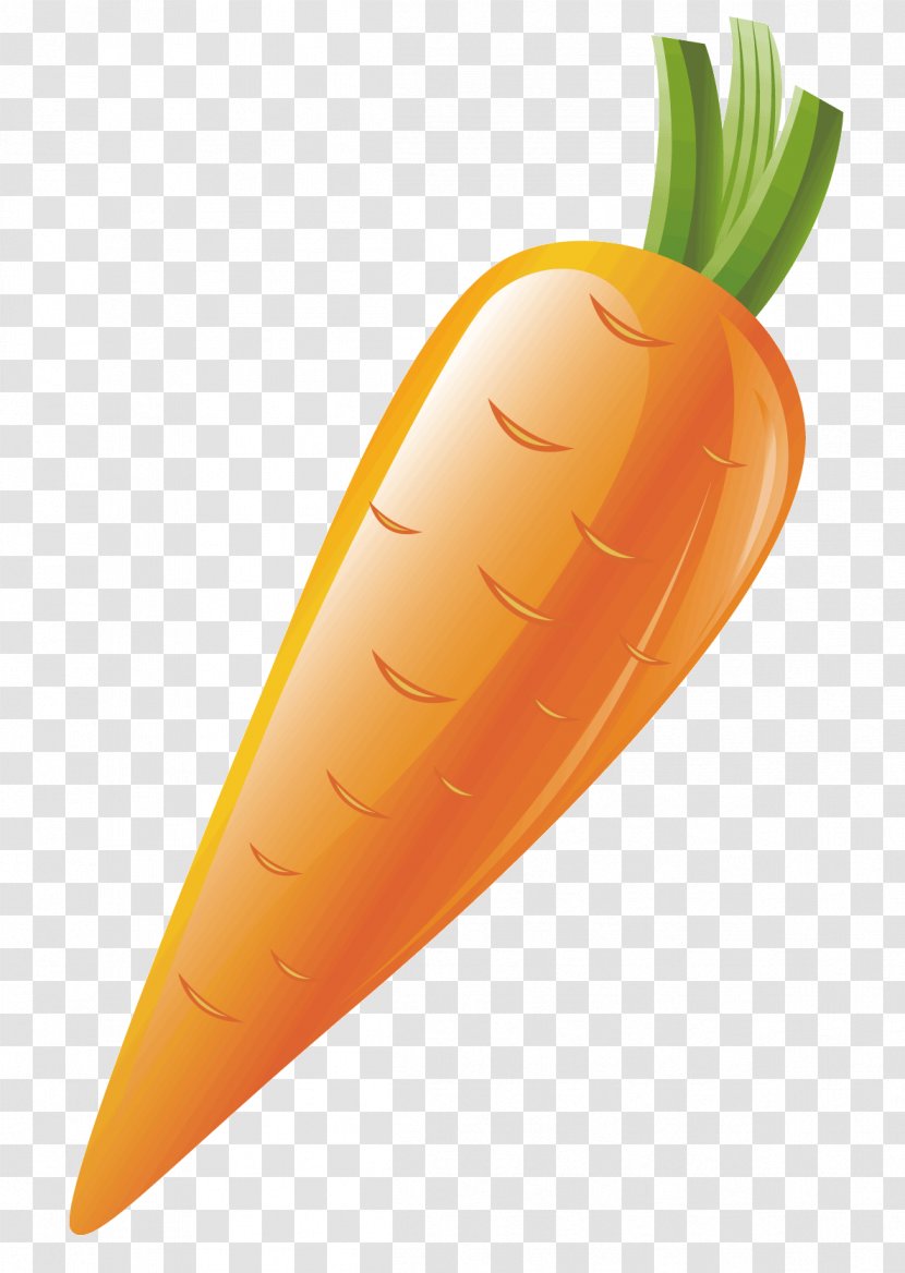 Carrot Vegetable - Fruit - A Transparent PNG