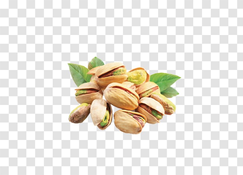 Pistachio Beer Nut - Dotted I - Clear Picture Pistachios Transparent PNG