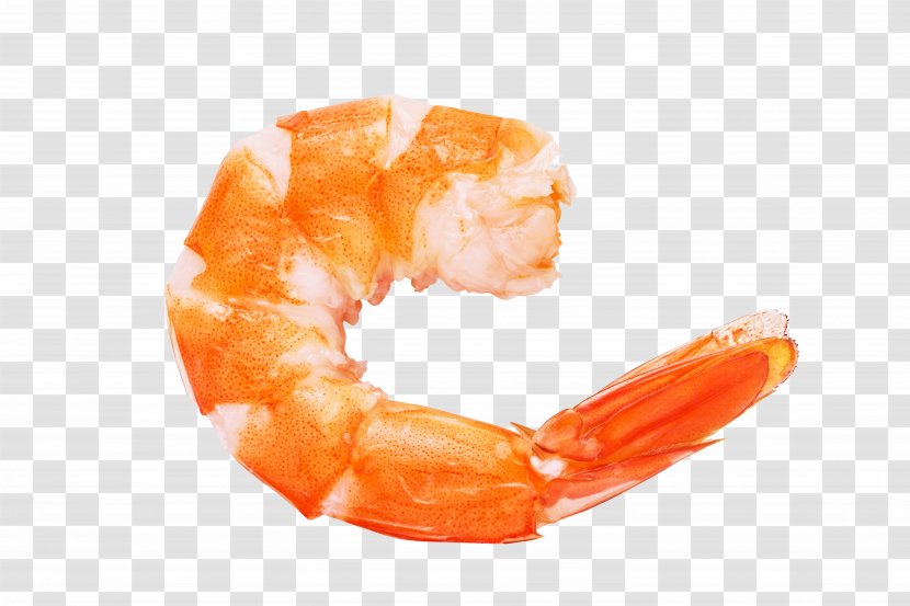 Caridea Prawn Shrimp Euclidean Vector - Seafood - Realism Transparent PNG