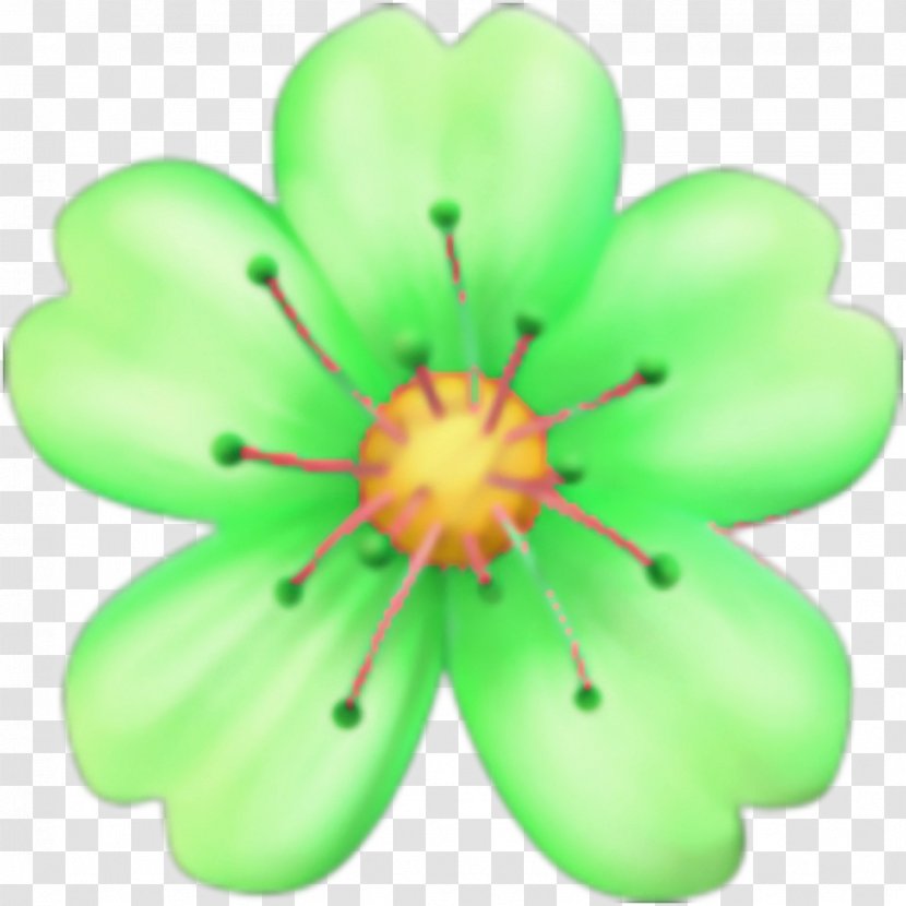 Green Leaf Background - Wildflower - Wood Sorrel Family Symbol Transparent PNG