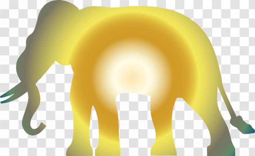 The Elephants Lion Elephant School - Small To Medium Sized Cats - Gradient Glow Transparent PNG