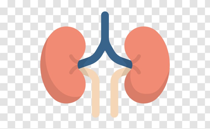 Medicine Disease Kidney The Stem Cell Revolution - Kidneys Insignia Transparent PNG