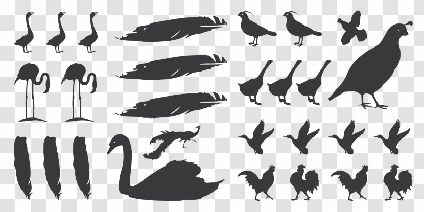 Typeface Crayon Ink Brush Font - Animal Migration - Guinea Fowl Silhouette Transparent PNG