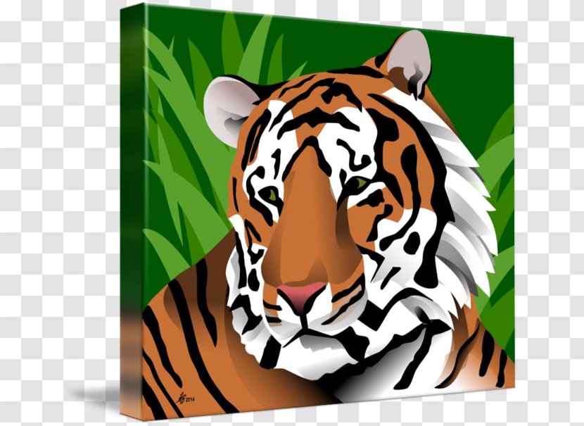 Tiger Cat Whiskers Snout - Fauna Transparent PNG