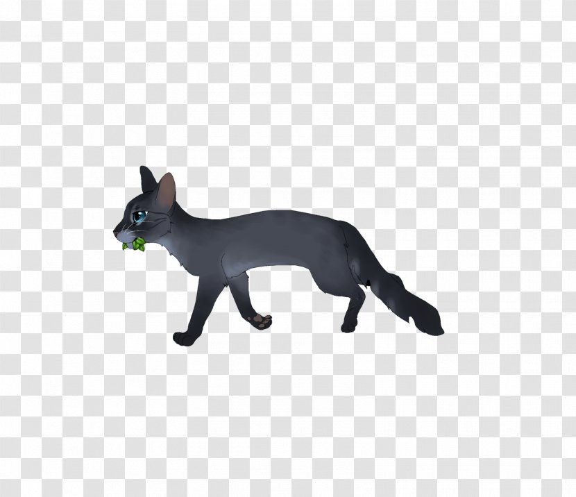 Whiskers Cat Dog Fauna Wildlife - Animal Figure Transparent PNG