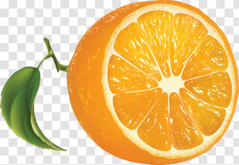 Orange Juice Royalty-free - Citrus Transparent PNG