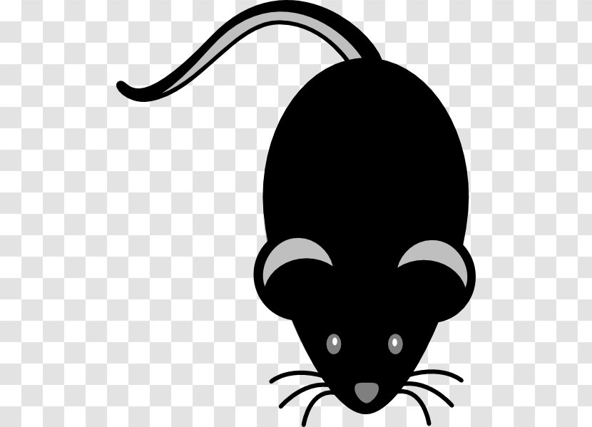 Computer Mouse Clip Art - Cat Like Mammal Transparent PNG