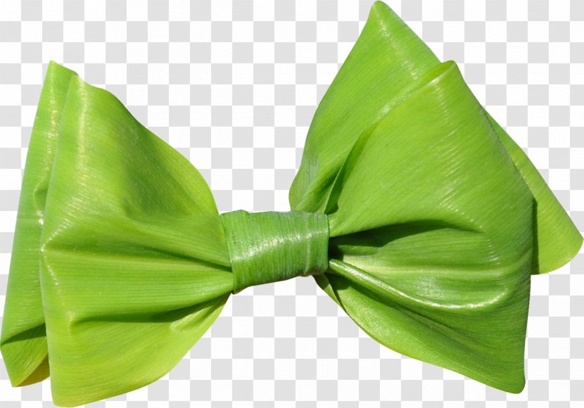 Green Leaf Shoelace Knot Ribbon - BOW TIE Transparent PNG