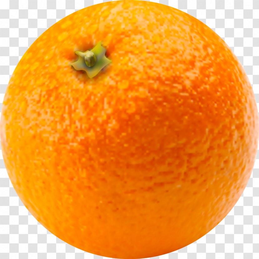 Clementine Blood Orange Tangerine Mandarin Bitter - Citric Acid - Vector Transparent PNG