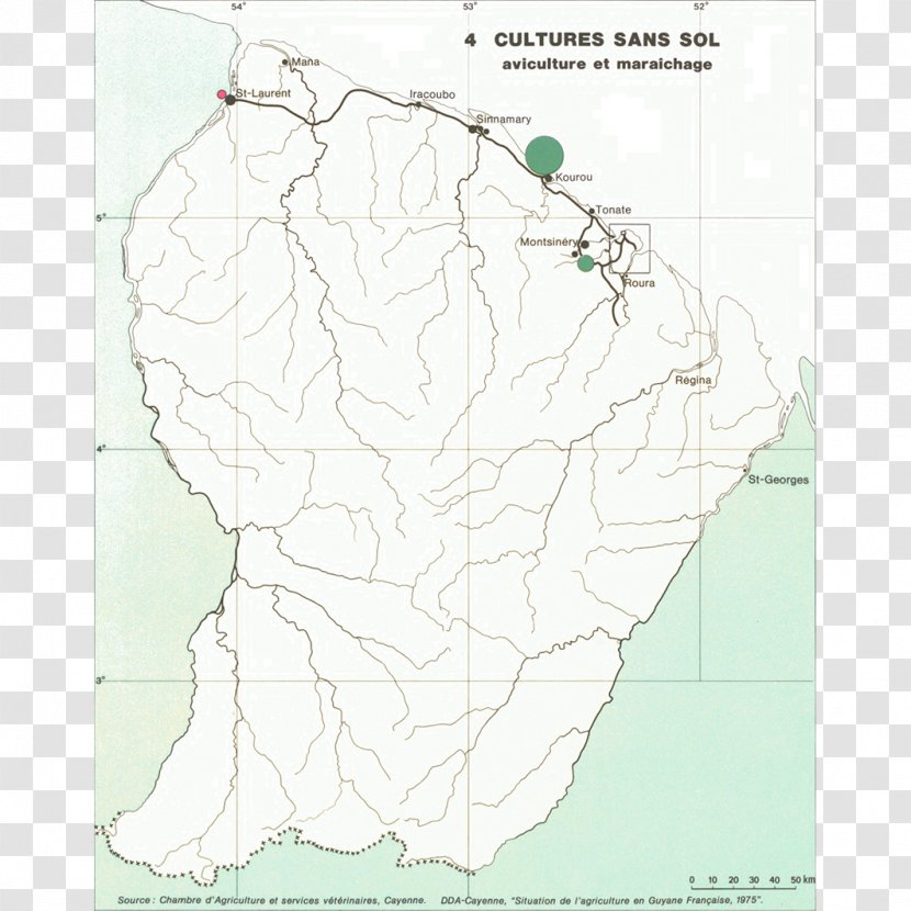 Map Line - Organism Transparent PNG