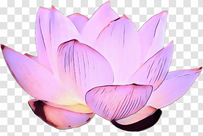 Lily Flower Cartoon - Proteales - Perennial Plant Cut Flowers Transparent PNG