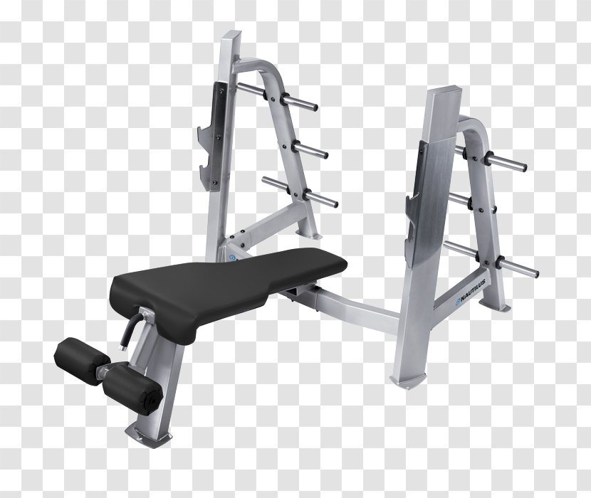 Bench Weight Training Nautilus, Inc. Power Rack Exercise Equipment - Gym Squats Transparent PNG